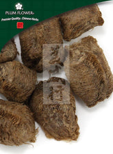 桑葚小,未硫化的中华大刀鱼卵壳